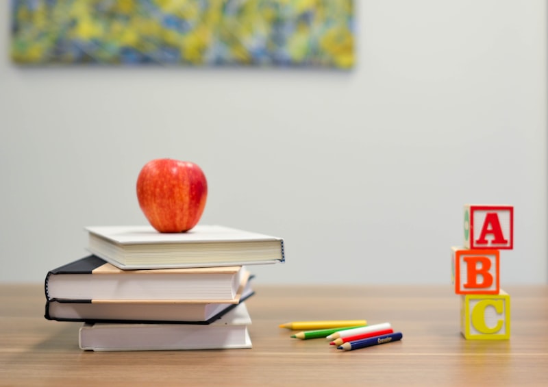 How to Help With Homework Without Doing It for Them